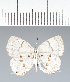  ( - CFC42255)  @11 [ ] copyright (2022) Center For Collection-Based Research Center For Collection-Based Research