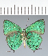  ( - CFC42283)  @11 [ ] copyright (2022) Center For Collection-Based Research Center For Collection-Based Research