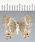  ( - CFC42284)  @11 [ ] copyright (2022) Center For Collection-Based Research Center For Collection-Based Research