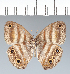  ( - CFC42320)  @11 [ ] copyright (2022) Center For Collection-Based Research Center For Collection-Based Research