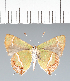  ( - CFC42376)  @11 [ ] copyright (2022) Center For Collection-Based Research Center For Collection-Based Research