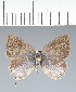  ( - CFC42429)  @11 [ ] copyright (2022) Center For Collection-Based Research Center For Collection-Based Research