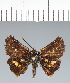  ( - CFC42476)  @11 [ ] copyright (2022) Center For Collection-Based Research Center For Collection-Based Research