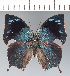  ( - CFC42797)  @11 [ ] copyright (2022) Center For Collection-Based Research Center For Collection-Based Research