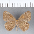  ( - CFC04280)  @11 [ ] Copyright (2018) Christer Fahraeus Center For Collection-Based Research