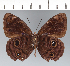  ( - CFC42803)  @11 [ ] copyright (2022) Center For Collection-Based Research Center For Collection-Based Research