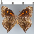  ( - CFC42810)  @11 [ ] copyright (2022) Center For Collection-Based Research Center For Collection-Based Research