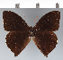  ( - CFC42814)  @11 [ ] copyright (2022) Center For Collection-Based Research Center For Collection-Based Research