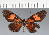  ( - CFC42974)  @11 [ ] copyright (2023) Center For Collection-Based Research Center For Collection-Based Research