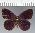 ( - CFC42989)  @11 [ ] copyright (2023) Center For Collection-Based Research Center For Collection-Based Research
