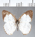  ( - CFC04302)  @13 [ ] Copyright (2018) Christer Fahraeus Center For Collection-Based Research