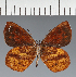  ( - CFC43107)  @11 [ ] copyright (2023) Center For Collection-Based Research Center For Collection-Based Research