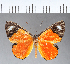  ( - CFC04317)  @11 [ ] Copyright (2018) Christer Fahraeus Center For Collection-Based Research