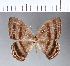  ( - CFC04324)  @11 [ ] Copyright (2018) Christer Fahraeus Center For Collection-Based Research
