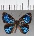  ( - CFC04362)  @11 [ ] Copyright (2019) Christer Fahraeus Center For Collection-Based Research