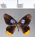  ( - CFC04364)  @11 [ ] Copyright (2018) Christer Fahraeus Center For Collection-Based Research