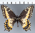  ( - CFC43744)  @11 [ ] copyright (2023) Center For Collection-Based Research Center For Collection-Based Research
