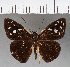  ( - CFC04410)  @11 [ ] Copyright (2018) Christer Fahraeus Center For Collection-Based Research