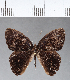  ( - CFC04472)  @11 [ ] Copyright (2018) Christer Fahraeus Center For Collection-Based Research