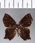  ( - CFC04493)  @11 [ ] Copyright (2018) Christer Fahraeus Center For Collection-Based Research