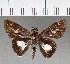  ( - CFC04534)  @11 [ ] Copyright (2018) Christer Fahraeus Center For Collection-Based Research