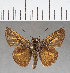  ( - CFC04543)  @11 [ ] Copyright (2018) Christer Fahraeus Center For Collection-Based Research