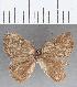  ( - CFC04711)  @11 [ ] Copyright (2019) Christer Fahraeus Center For Collection-Based Research