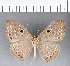 ( - CFC04740)  @11 [ ] Copyright (2018) Christer Fahraeus Center For Collection-Based Research
