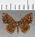  ( - CFC04857)  @11 [ ] Copyright (2019) Christer Fahraeus Center For Collection-Based Research