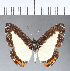  ( - CFC04881)  @11 [ ] Copyright (2018) Christer Fahraeus Center For Collection-Based Research