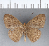  ( - CFC04922)  @11 [ ] Copyright (2018) Christer Fahraeus Center For Collection-Based Research