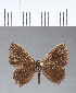  ( - CFC04944)  @11 [ ] Copyright (2018) Christer Fahraeus Center For Collection-Based Research