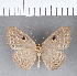  ( - CFC05007)  @11 [ ] Copyright (2018) Christer Fahraeus Center For Collection-Based Research