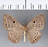  ( - CFC05105)  @11 [ ] Copyright (2018) Christer Fahraeus Center For Collection-Based Research