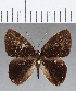  ( - CFC05185)  @11 [ ] Copyright (2019) Christer Fahraeus Center For Collection-Based Research