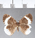  ( - CFC05201)  @11 [ ] Copyright (2018) Christer Fahraeus Center For Collection-Based Research