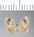  ( - CFC05225)  @11 [ ] Copyright (2018) Christer Fahraeus Center For Collection-Based Research