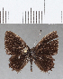  ( - CFC05242)  @11 [ ] Copyright (2019) Christer Fahraeus Center For Collection-Based Research