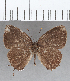  ( - CFC00053)  @11 [ ] Copyright (2020) Christer Fahraeus Center For Collection-Based Research