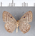  ( - CFC05350)  @11 [ ] Copyright (2018) Christer Fahraeus Center For Collection-Based Research