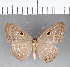  ( - CFC05362)  @11 [ ] Copyright (2018) Christer Fahraeus Center For Collection-Based Research