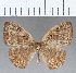  ( - CFC05408)  @11 [ ] Copyright (2019) Christer Fahraeus Center For Collection-Based Research