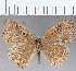  ( - CFC05437)  @11 [ ] Copyright (2019) Christer Fahraeus Center For Collection-Based Research