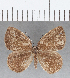  ( - CFC05475)  @11 [ ] Copyright (2019) Christer Fahraeus Center For Collection-Based Research