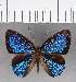 ( - CFC05476)  @11 [ ] Copyright (2019) Christer Fahraeus Center For Collection-Based Research