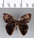  ( - CFC05494)  @11 [ ] Copyright (2018) Christer Fahraeus Center For Collection-Based Research