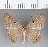  ( - CFC05792)  @11 [ ] Copyright (2018) Christer Fahraeus Center For Collection-Based Research