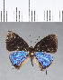  ( - CFC00605)  @11 [ ] Copyright (2018) Christer Fahraeus Center For Collection-Based Research