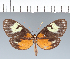  ( - CFC06180)  @11 [ ] copyright (2022) Center For Collection-Based Research Center For Collection-Based Research