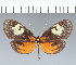  ( - CFC06268)  @11 [ ] copyright (2022) Center For Collection-Based Research Center For Collection-Based Research